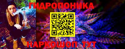 гашик Нальчик