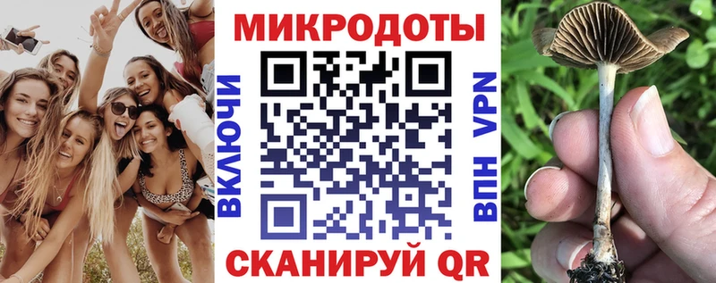 Галлюциногенные грибы Magic Shrooms  купить   Феодосия 