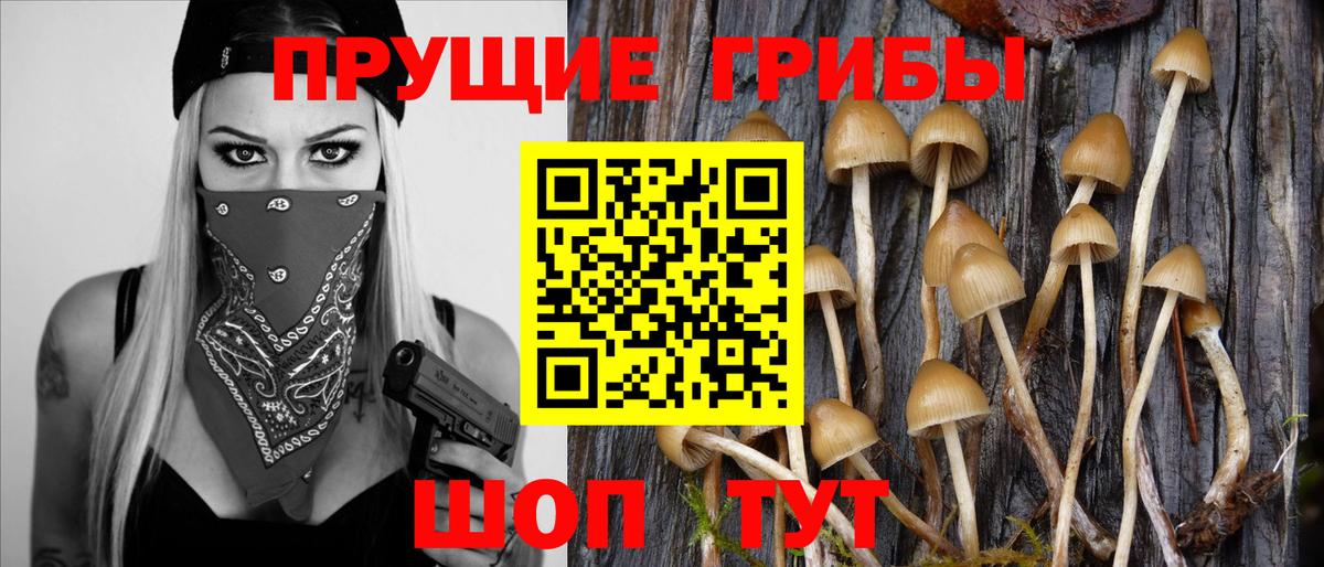 Галлюциногенные грибы Psilocybine cubensis  Вход с VPN  даркнет сайт  Галлюциногенные грибы Psilocybine cubensis  Феодосия 